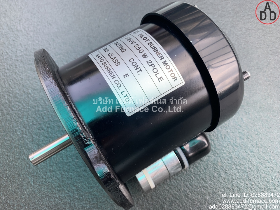 Pilot Burner Motor 220V 200W 2Pole (1)